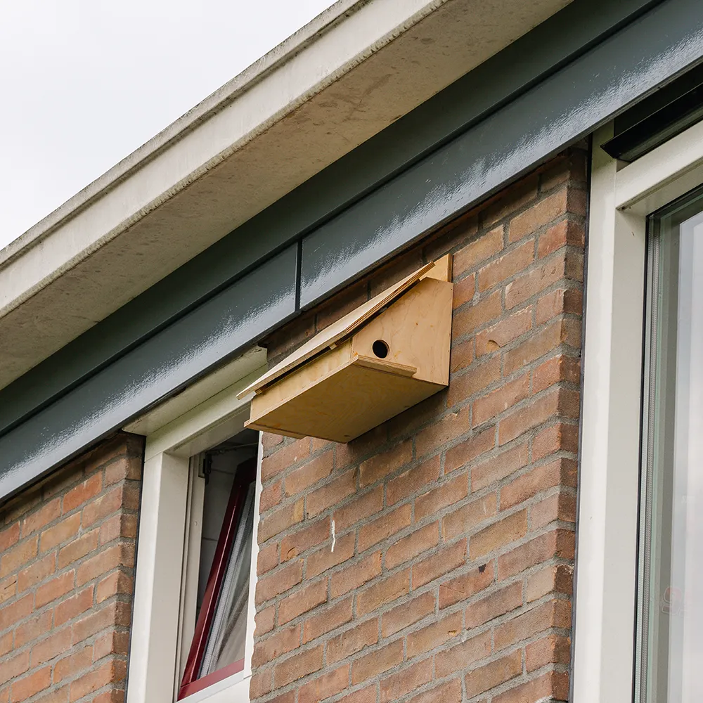 Paalkast (maatwerk) Paalkast (maatwerk)