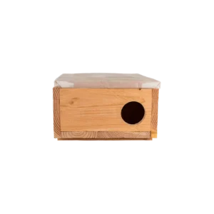 Marterkast groot (Bunzing)