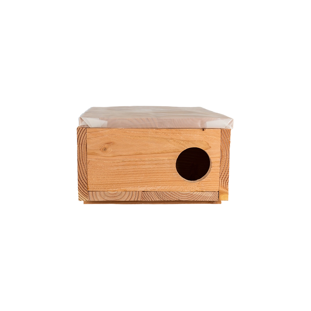 Marterkast groot (Bunzing)