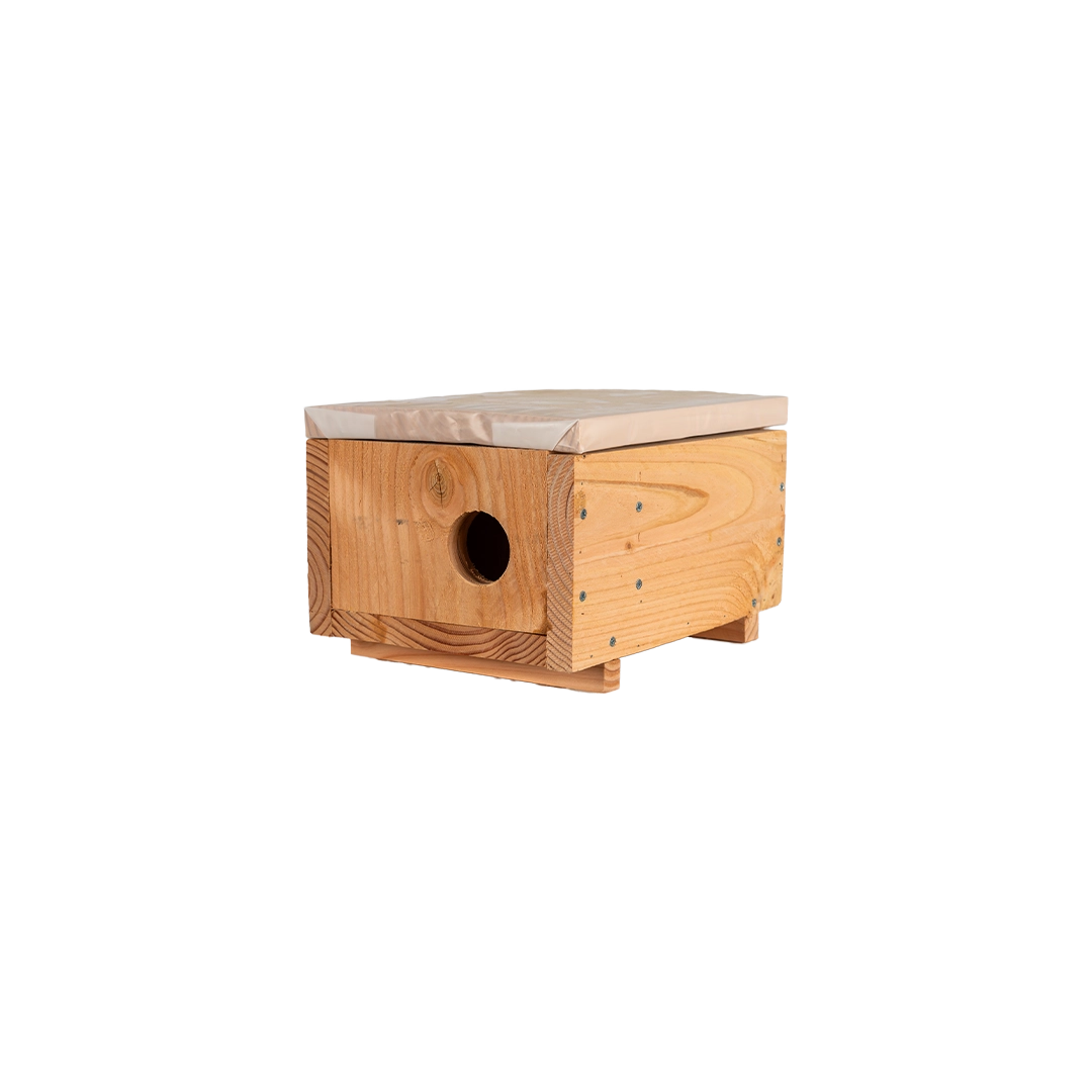 Marterkast middel (Hermelijn) Marterkast middel (Hermelijn)