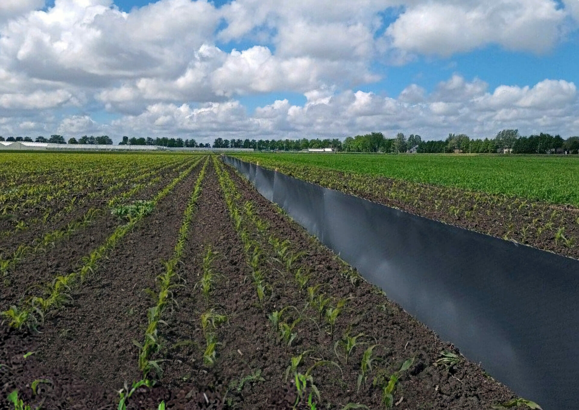 Amfibieënscherm (op rol) Amfibieënscherm (op rol)